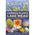 A Guide to Common Plants of Lake Mead National Recreation Area - Paperback