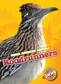 Roadrunners - Library Binding