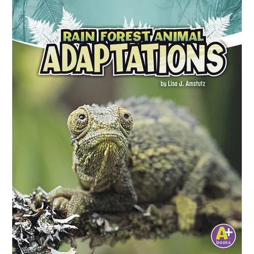 Rain Forest Animal Adaptations - Paperback