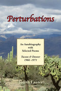 Perturbations - Paperback
