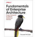 Fundamentals of Enterprise Architecture: Proven Frameworks for Effective Architecture Decisions - Paperback