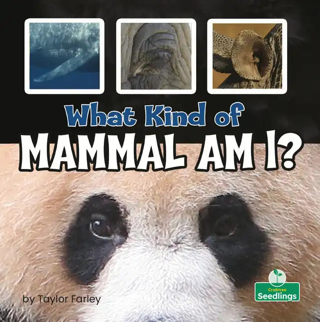 What Kind of Mammal Am I? - Paperback