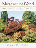 Maples of the World - Paperback