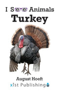 Turkey - Paperback
