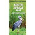 South Africa Birds: A Folding Pocket Guide to Familiar Species in the South African Region - Paperback