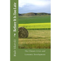 The Climate Crisis and Economic Development: Before it is too Late - Paperback
