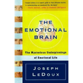 The Emotional Brain: The Mysterious Underpinnings of Emotional Life - Paperback