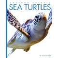 Sea Turtles - Library Binding