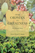From Orphan to Greatness: An African Story - Paperback
