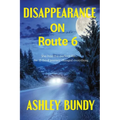 Disappearance on Route 6 - Paperback