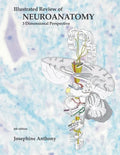Illustrated Review of Neuroanatomy: 3 Dimensional Perspective - Paperback