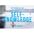 Self-Knowledge in 40 Images: The Art of Self-Understanding - Hardcover