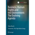 Business, Human Rights and the Environment: The Evolving Agenda - Paperback