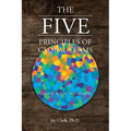 The Five Principles of Global Teams: Leading Across Boundaries - Paperback