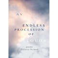 An Endless Procession of Clouds - Paperback