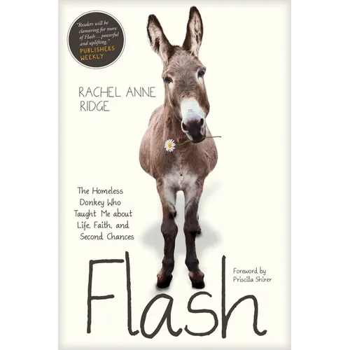 Flash: The Homeless Donkey Who Taught Me about Life, Faith, and Second Chances - Paperback