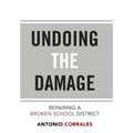 Undoing the Damage: Repairing a Broken School District - Hardcover
