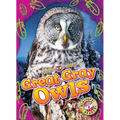 Great Gray Owls - Library Binding