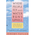 Where People Fly and Water Runs Uphill: Using Dreams to Tap the Wisdom of the Unconscious - Paperback