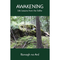 Awakening: Life Lessons from the Sidhe - Paperback