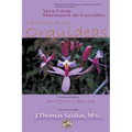 La Gruta de las Orquídeas - Paperback