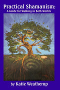 Practical Shamanism, A Guide for Walking in Both Worlds - Paperback