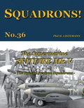The Supermarine Spitfire Mk V: The Special Reserve Squadrons - Paperback