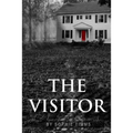 The Visitor: The suspense thriller with a twist - Paperback