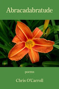 Abracadabratude - Paperback