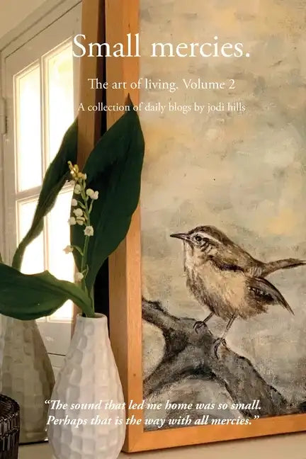 Small mercies - Paperback