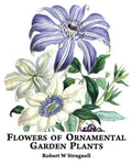 Flowers of Ornamental Garden Plants - Paperback