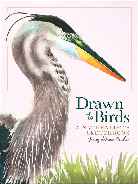 Drawn to Birds: A Naturalist's Sketchbook - Hardcover