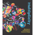 Multiplicity: Blackness in Contemporary American Collage - Hardcover