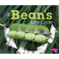 A Bean's Life Cycle - Paperback