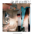 Anita Witek: Unforeseeable Occurrences - Hardcover