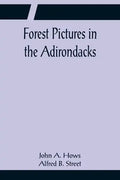 Forest Pictures in the Adirondacks - Paperback