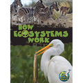 How Ecosystems Work - Paperback