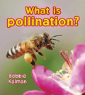 What Is Pollination? - Paperback