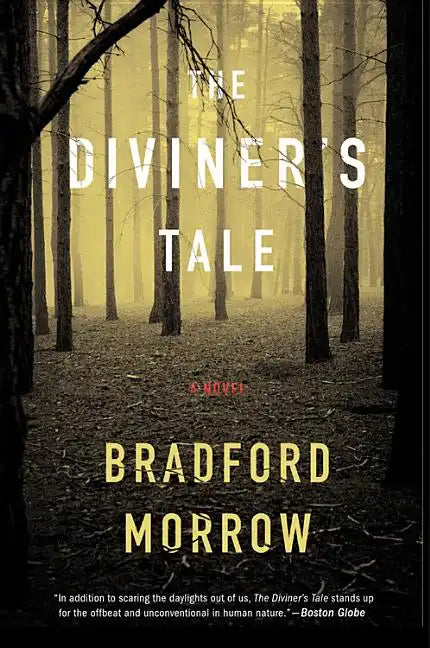 The Diviner's Tale - Paperback