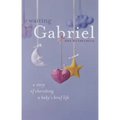 Waiting with Gabriel: A Story of Cherishing a Baby's Brief Life - Paperback