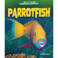 Parrotfish - Library Binding