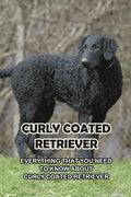 Curly Coated Retriever: Everything That You Need to Know About Curly Coated Retriever: How Well You Know ABout Curly Coated Retriever? - Paperback