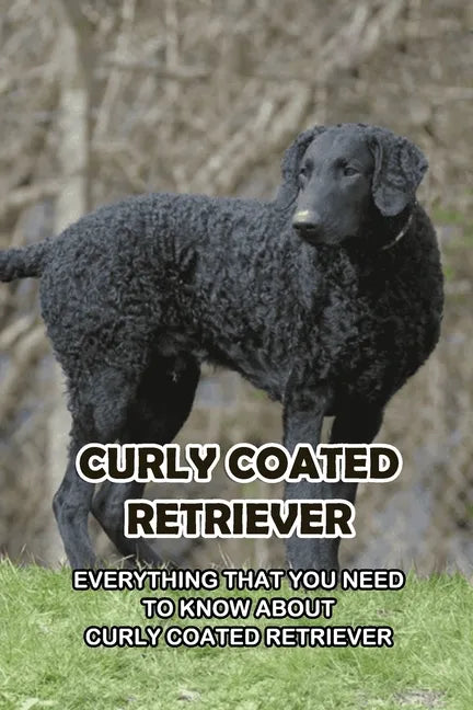 Curly Coated Retriever: Everything That You Need to Know About Curly Coated Retriever: How Well You Know ABout Curly Coated Retriever? - Paperback