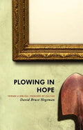 Plowing in Hope: Toward a Biblical Theology of Culture - Paperback