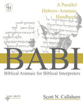 Biblical Aramaic for Biblical Interpreters: A Parallel Hebrew-Aramaic Handbook - Paperback