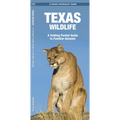 Texas Wildlife: An Introduction to Familiar Species - Paperback