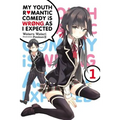 My Youth Romantic Comedy Is Wrong, as I Expected, Vol. 1 (Light Novel): Volume 1 - Paperback