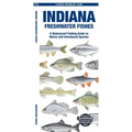 Indiana Freshwater Fishes - Paperback