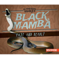 Black Mamba: Fast and Deadly - Library Binding