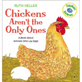 Chickens Aren't the Only Ones: A Book about Animals Who Lay Eggs - Hardcover